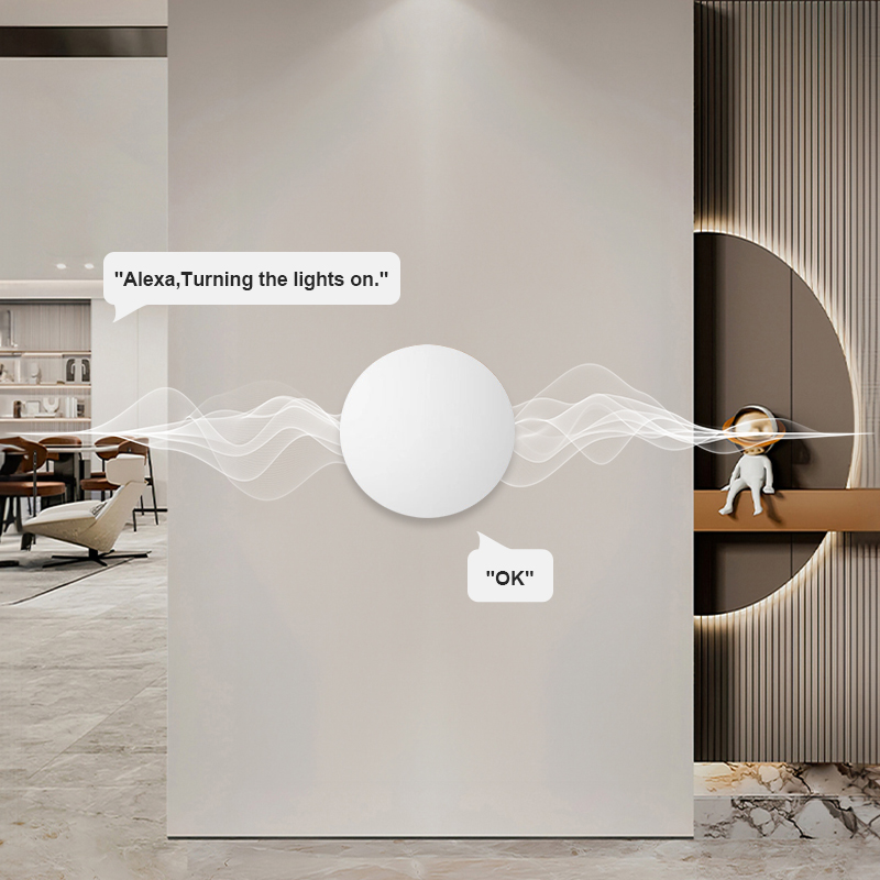 ZigBee Smart Wireless Button S - Home Office Google recension och pris